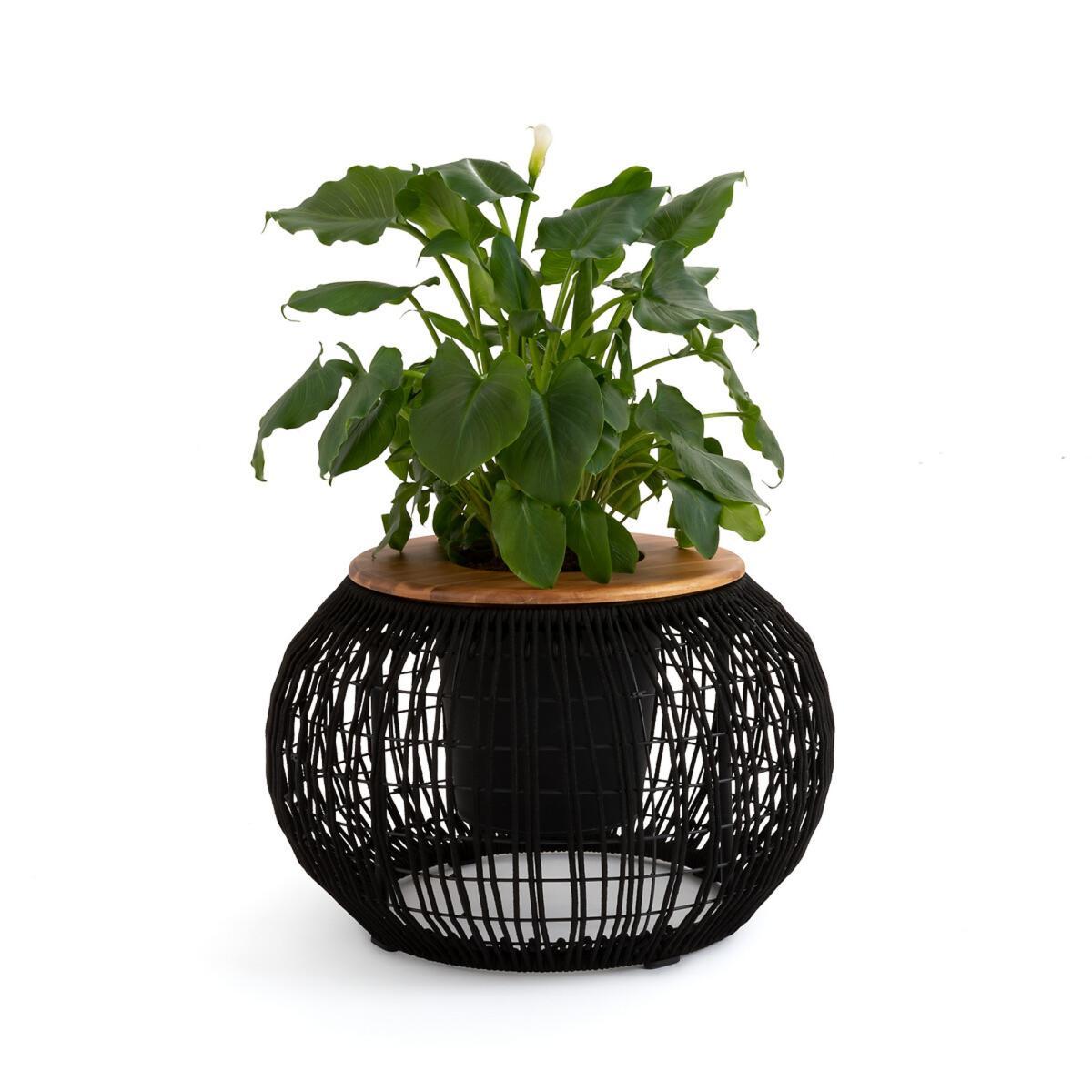 Seville Acacia Garden Coffee Table – image 3