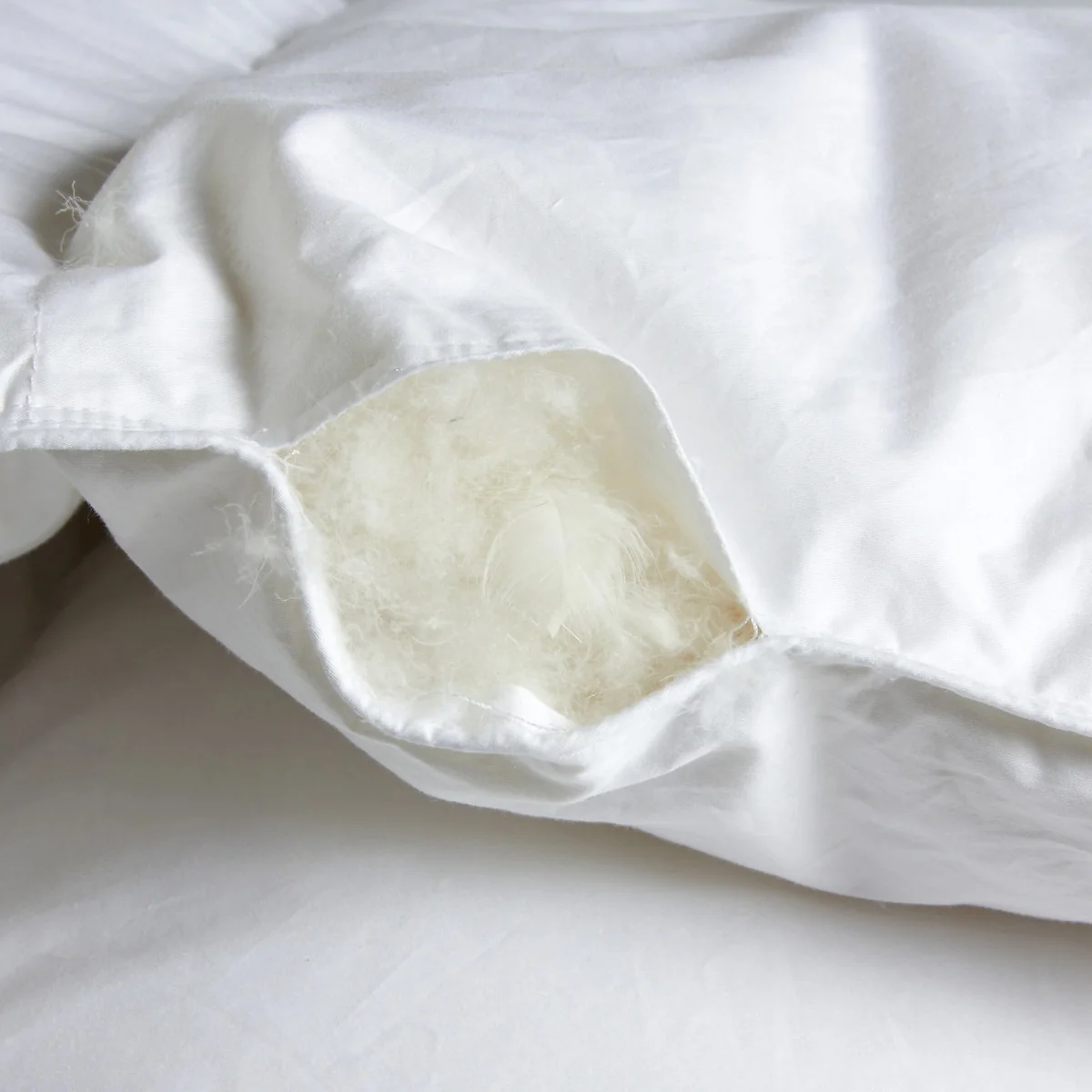 Miglio Duvet, 90% Goose Down, 280 g/m² – image 5