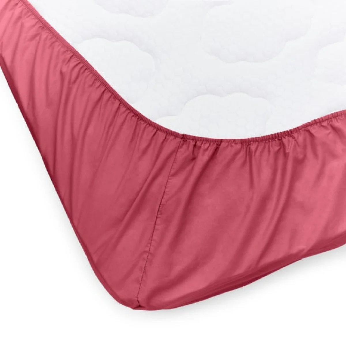 Pure Cotton Fitted Sheet – image 2