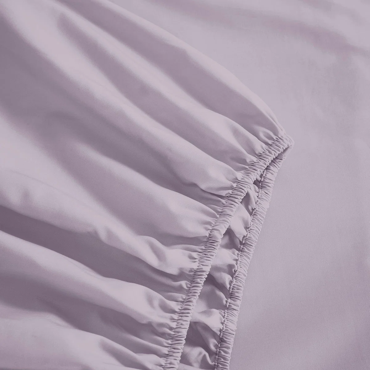 Dorma Crisp & Fresh 400 Thread Count Egyptian Cotton Percale Fitted Sheet – image 2