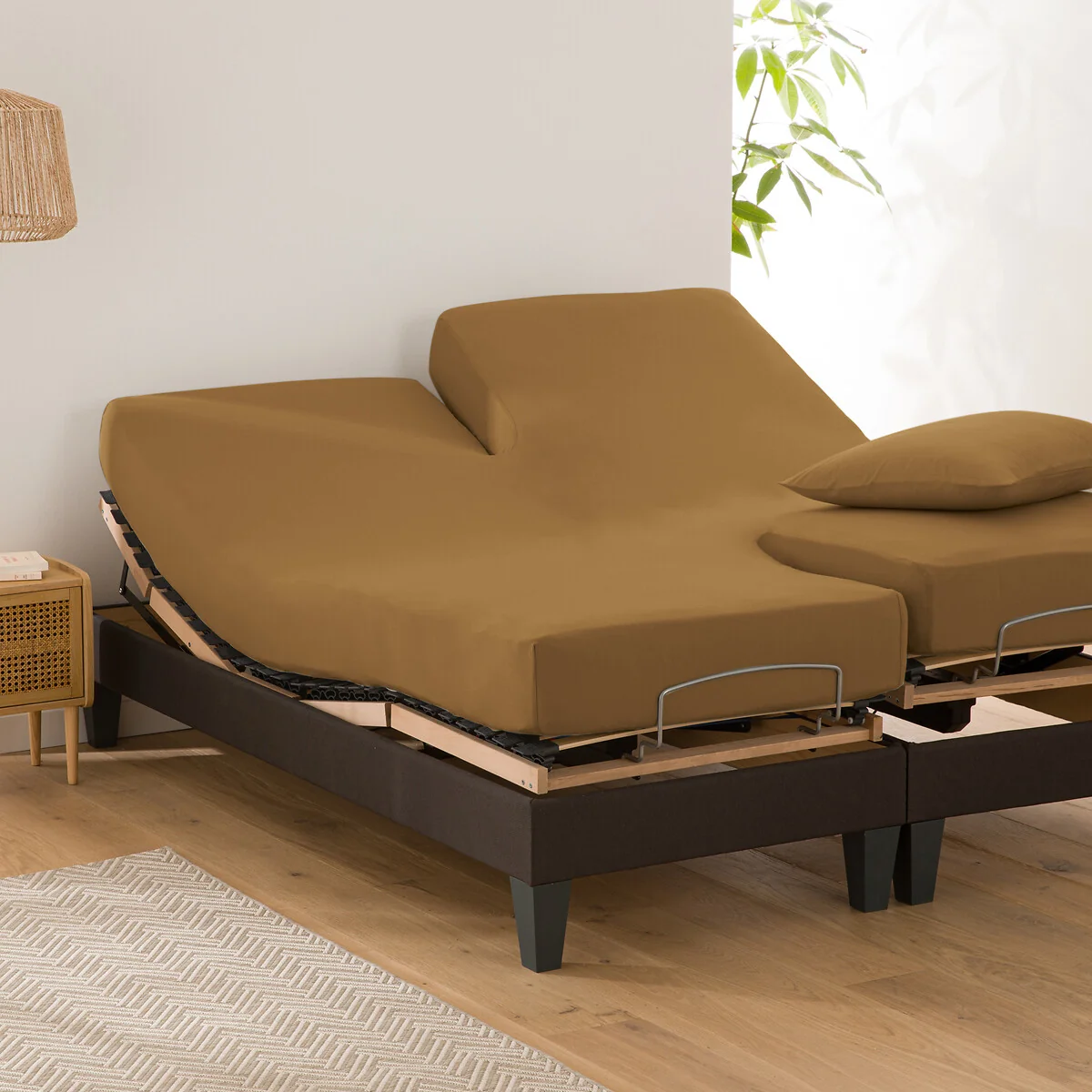 Scenario Plain Cotton Fitted Sheet For Articulated Bed – image 1