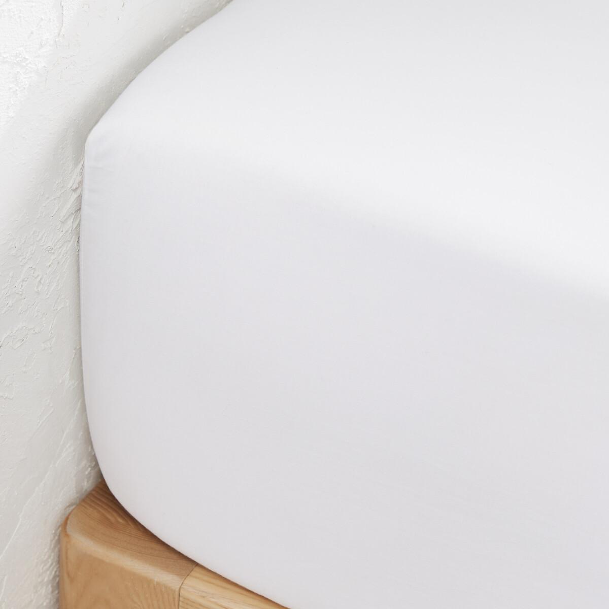 Dojo 30cm High 100% Cotton Percale 200 Thread Count Fitted Sheet – image 2
