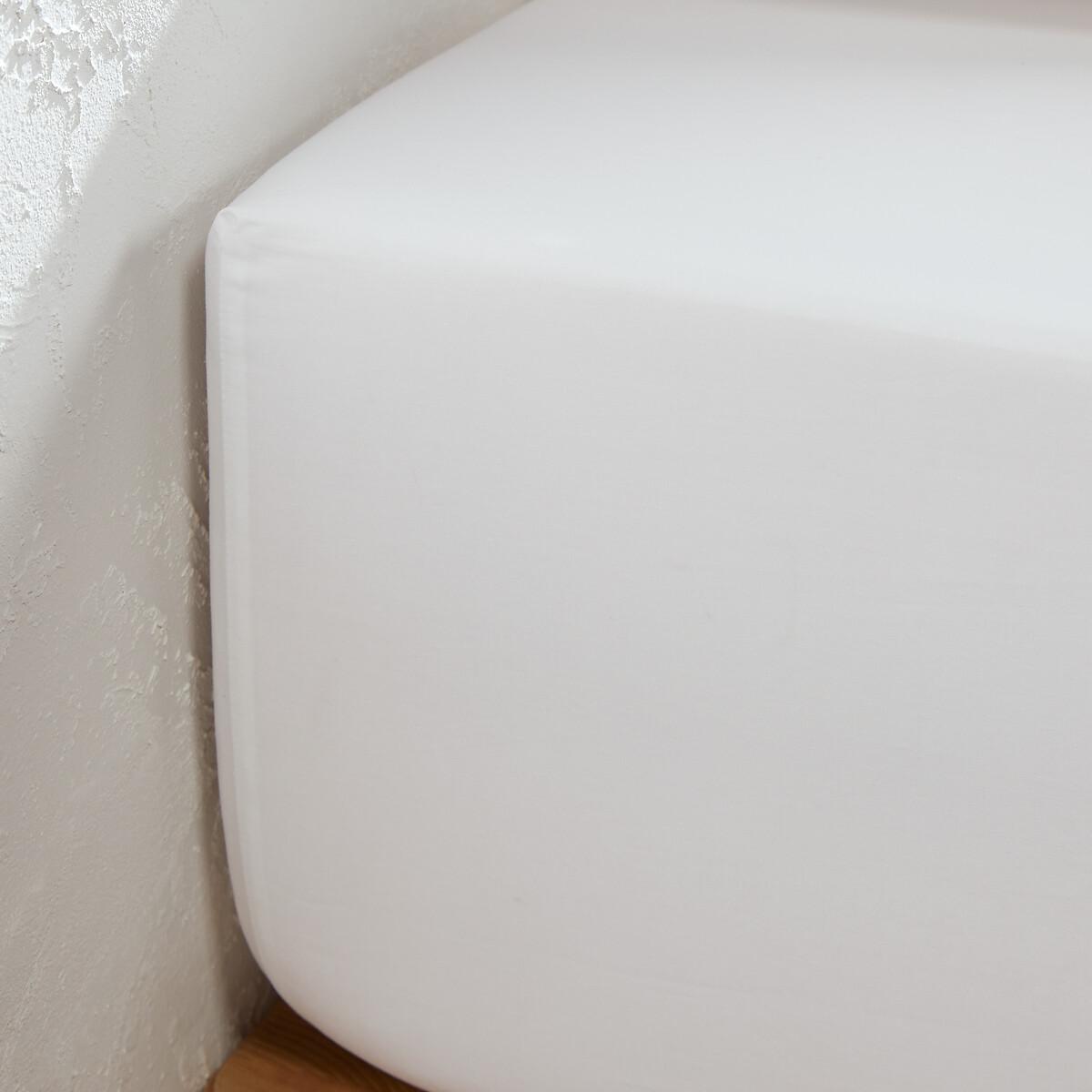 Camila 30cm Egyptian Cotton Fitted Sheet – image 2
