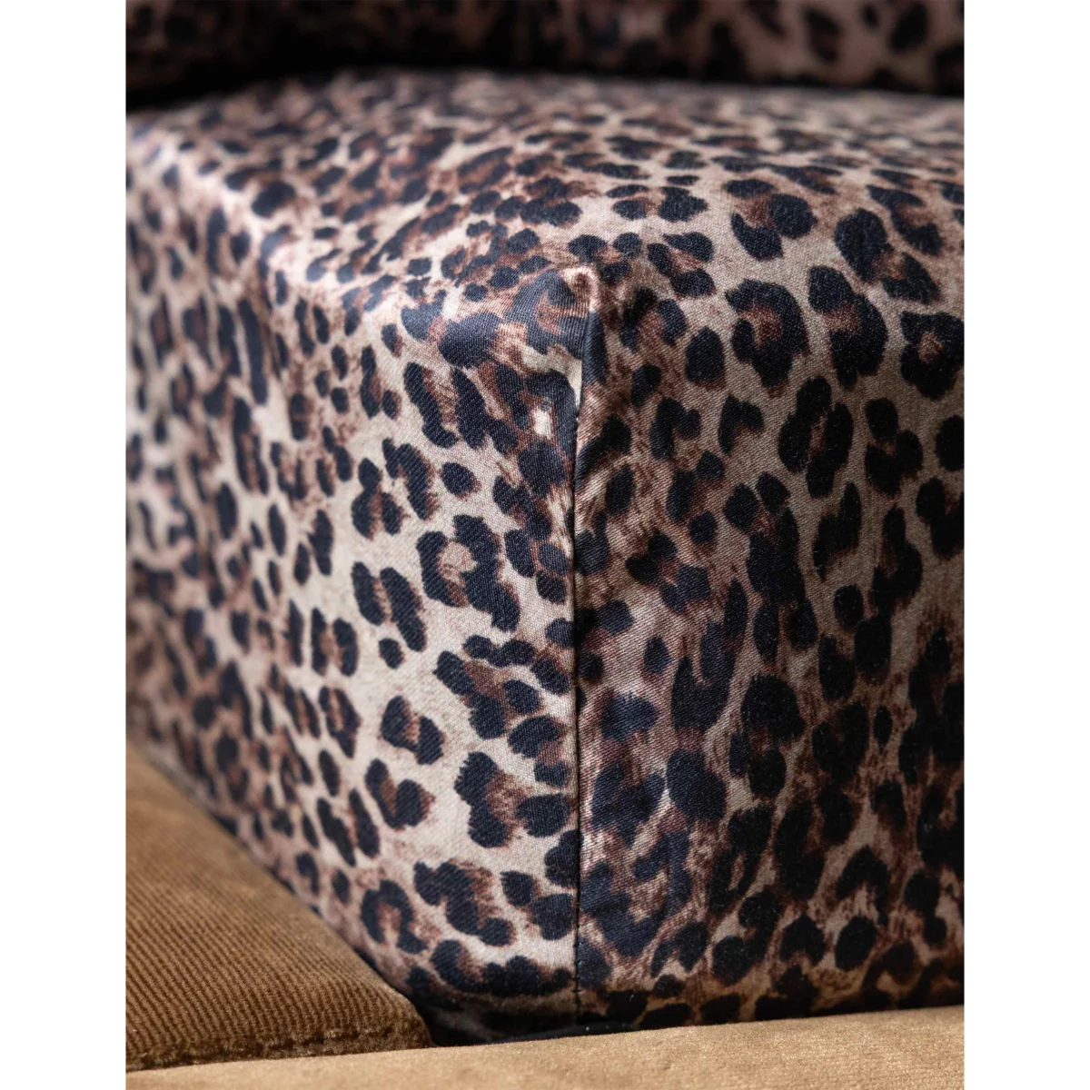 Rockett St George Pure Cotton Sateen Leopard Love Fitted Sheet Brown – image 6