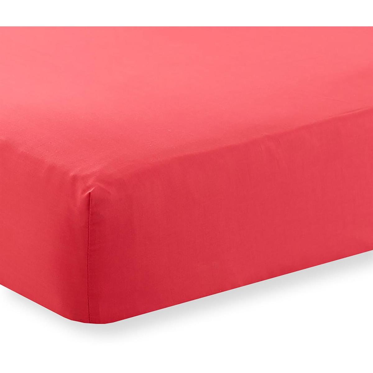 Deep Percale Fitted Sheet 12" (30cm) - Red / Superking