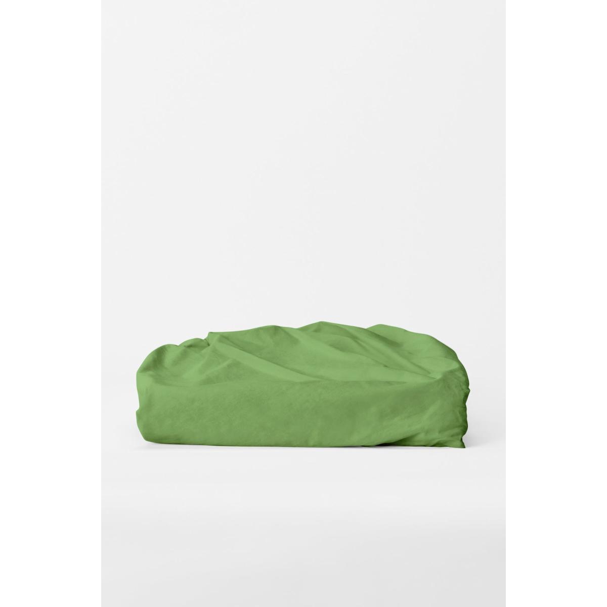 Green Single Fitted Sheet In Apple Us Twin Sutram – image 2