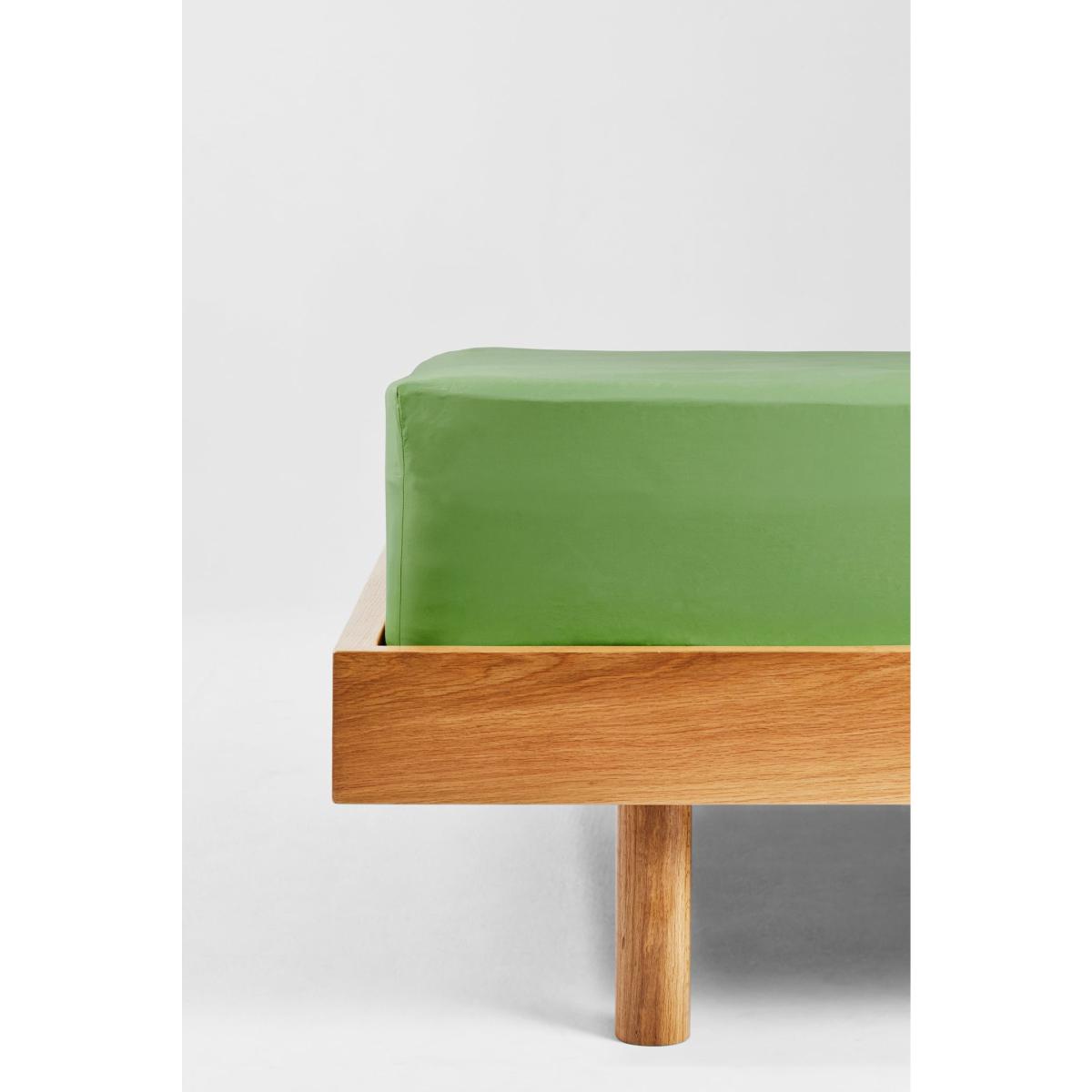 Green Single Fitted Sheet In Apple Us Twin Sutram – image 4