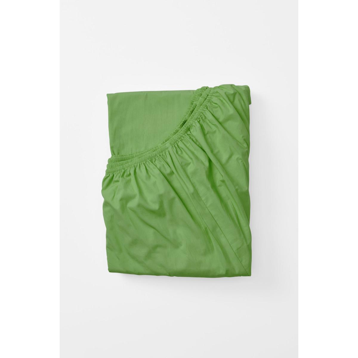 Green Single Fitted Sheet In Apple Us Twin Sutram – image 5