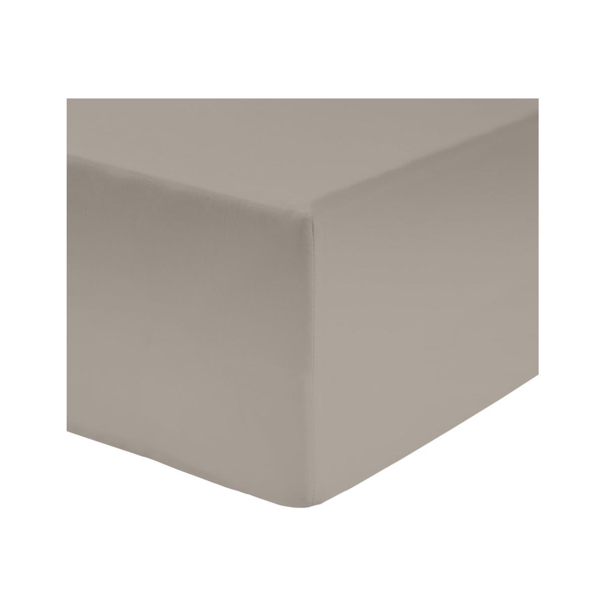 Habitat Cotton Rich Taupe Fitted Sheet - Single – image 1