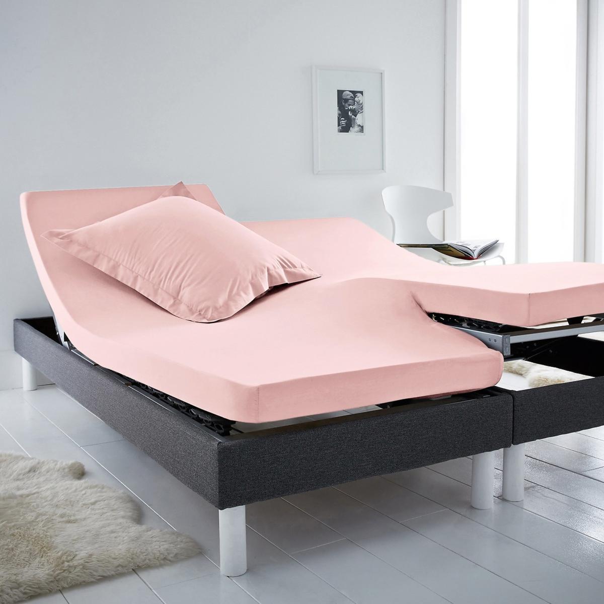 Scenario Plain Cotton Fitted Sheet for Articulated Bed – image 1