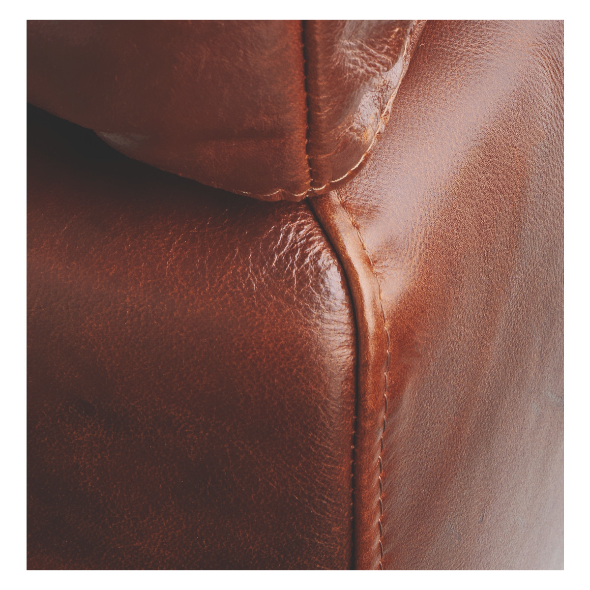 Chester Tan Leather Compact Sofa, Dark Stained Feet, Tan – image 6