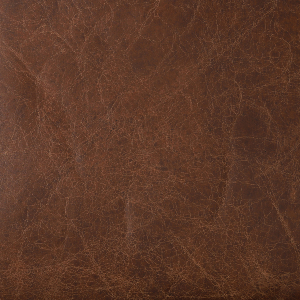 Cavendish Leather Armchair, Vintage Cigar – image 9