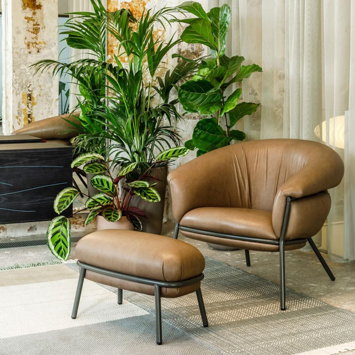 Brown Leather Grasso Armchair – image 2