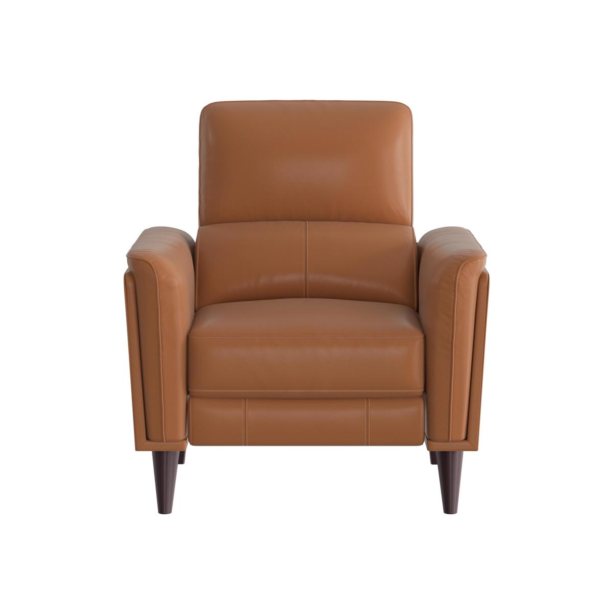 Compact Collection Klein NC Leather Chair - Pecan Brown
