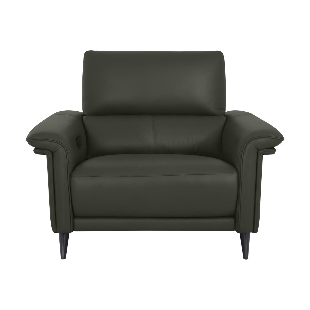 Domicil - Huxley Leather Power Recliner Chair with Telescopic Headrest - NN Olive Green