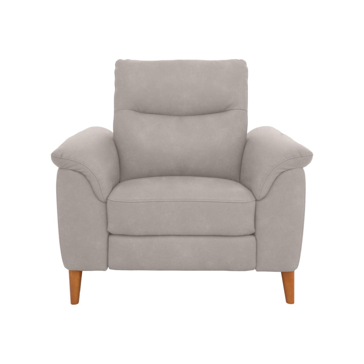 Morgan Fabric Armchair - Stone Dexter – image 1