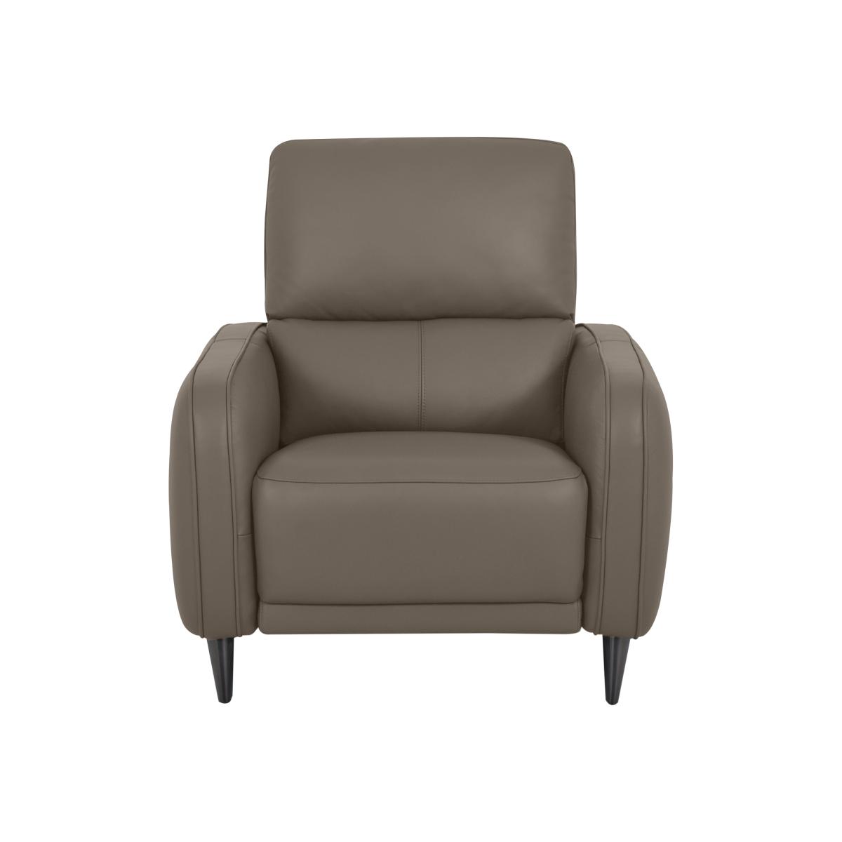 Domicil - Logan NC Leather Chair - NN Pine Bark