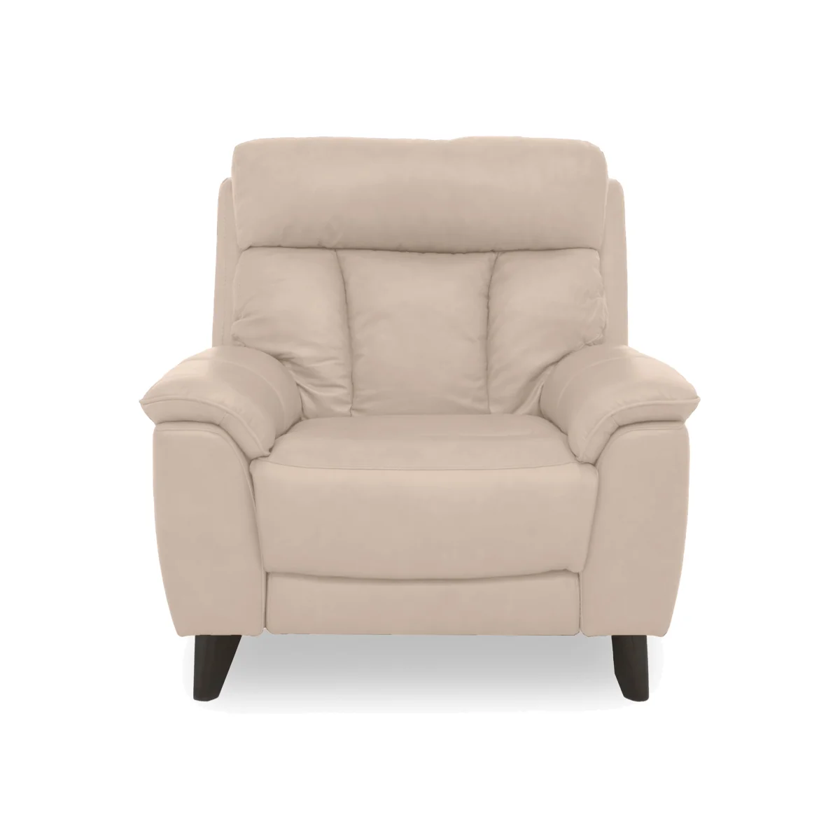 World of Leather - Dreamer Leather Armchair - BV Pebble – image 1
