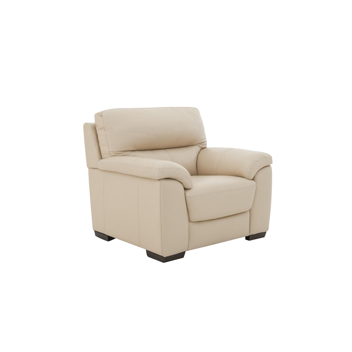 Zinc Leather Armchair - Teal- World of Leather – image 4