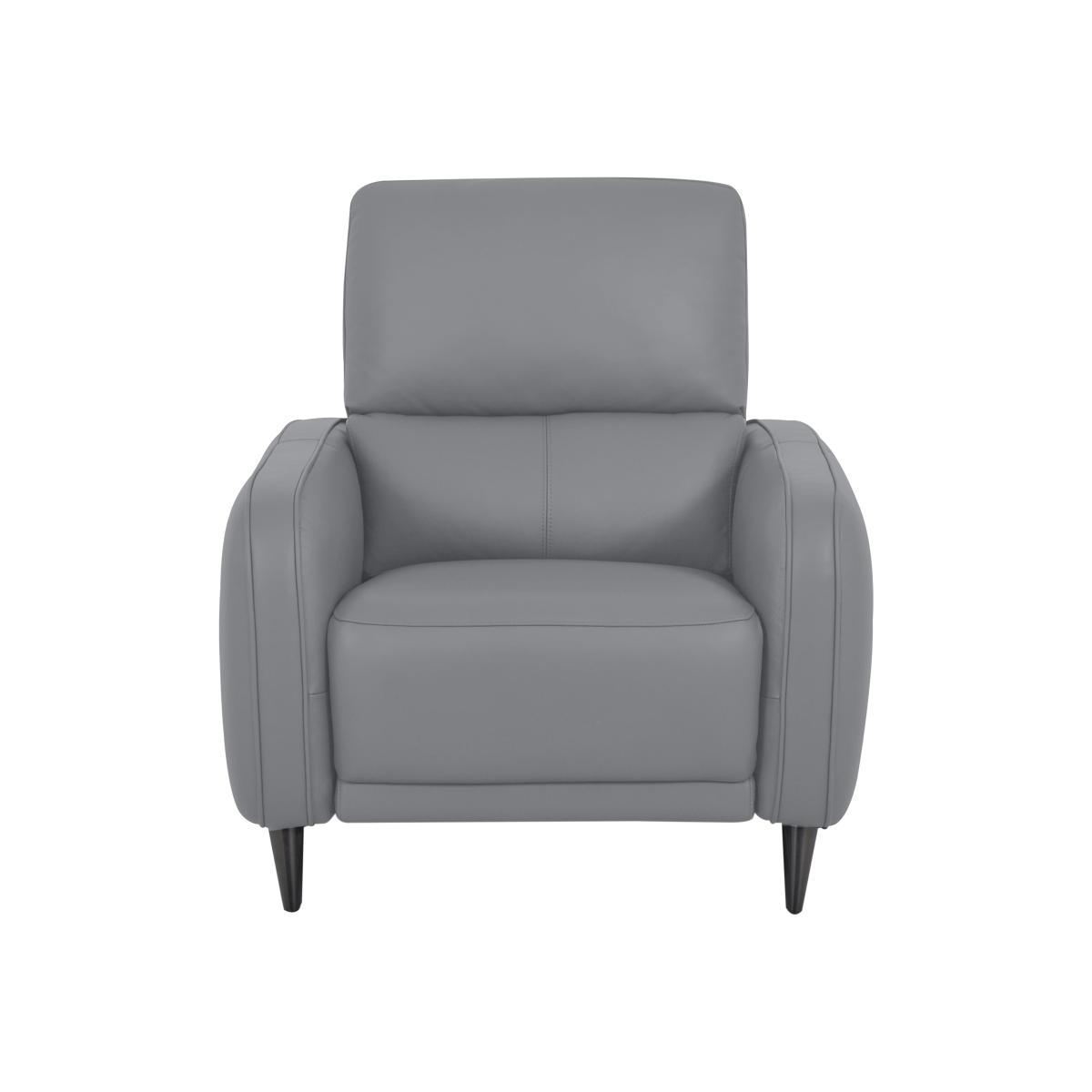 Domicil - Logan Leather Power Recliner Chair - NP Paloma Grey