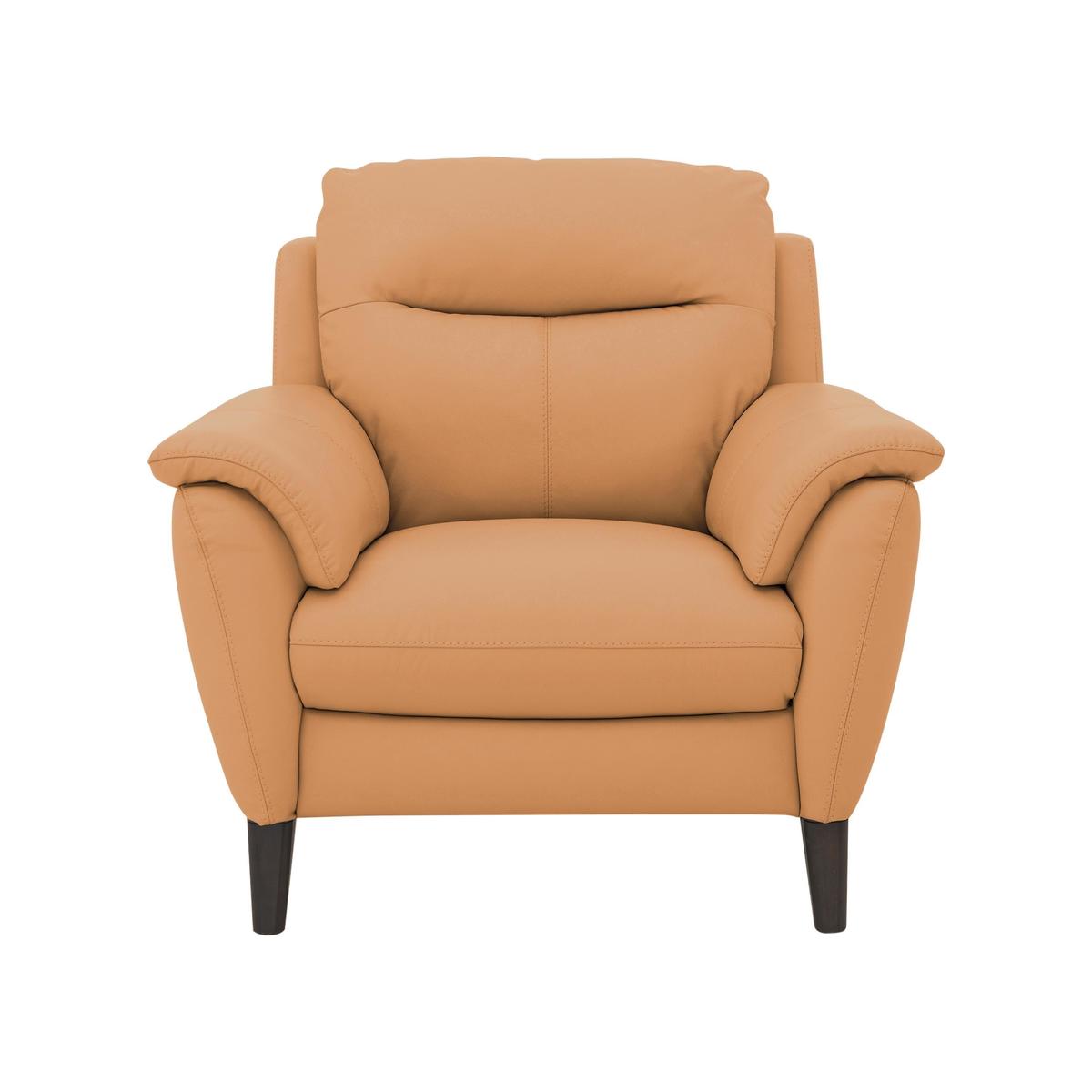 World of Leather - Mercury Leather Armchair – image 1