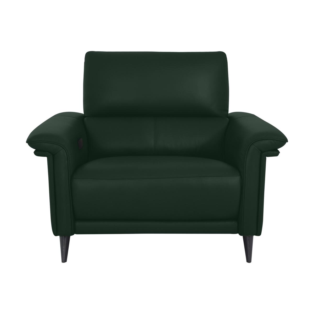 Domicil - Huxley Leather Power Recliner Chair with Telescopic Headrest - NP Dark Forest