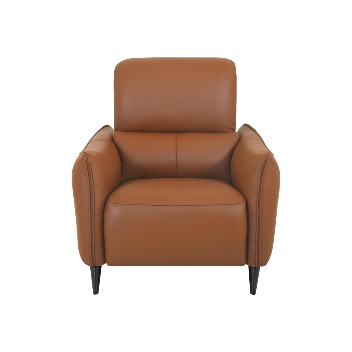 Domicil - Maddox Leather Power Recliner Chair - NN Caramel