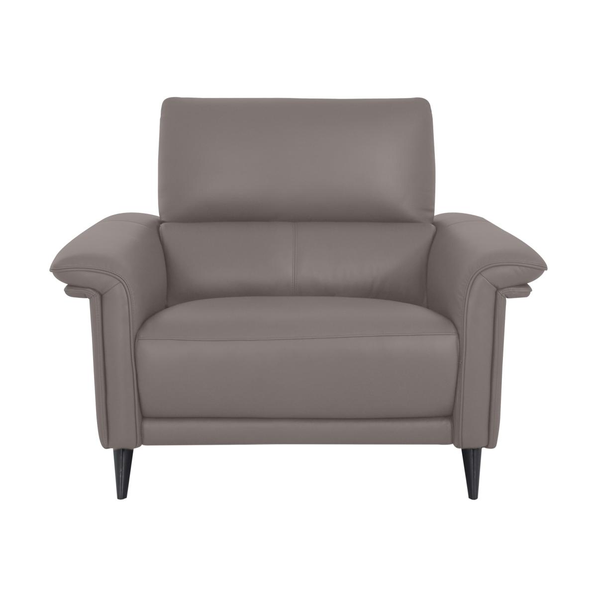 Domicil - Huxley Leather Chair - NP Taupe