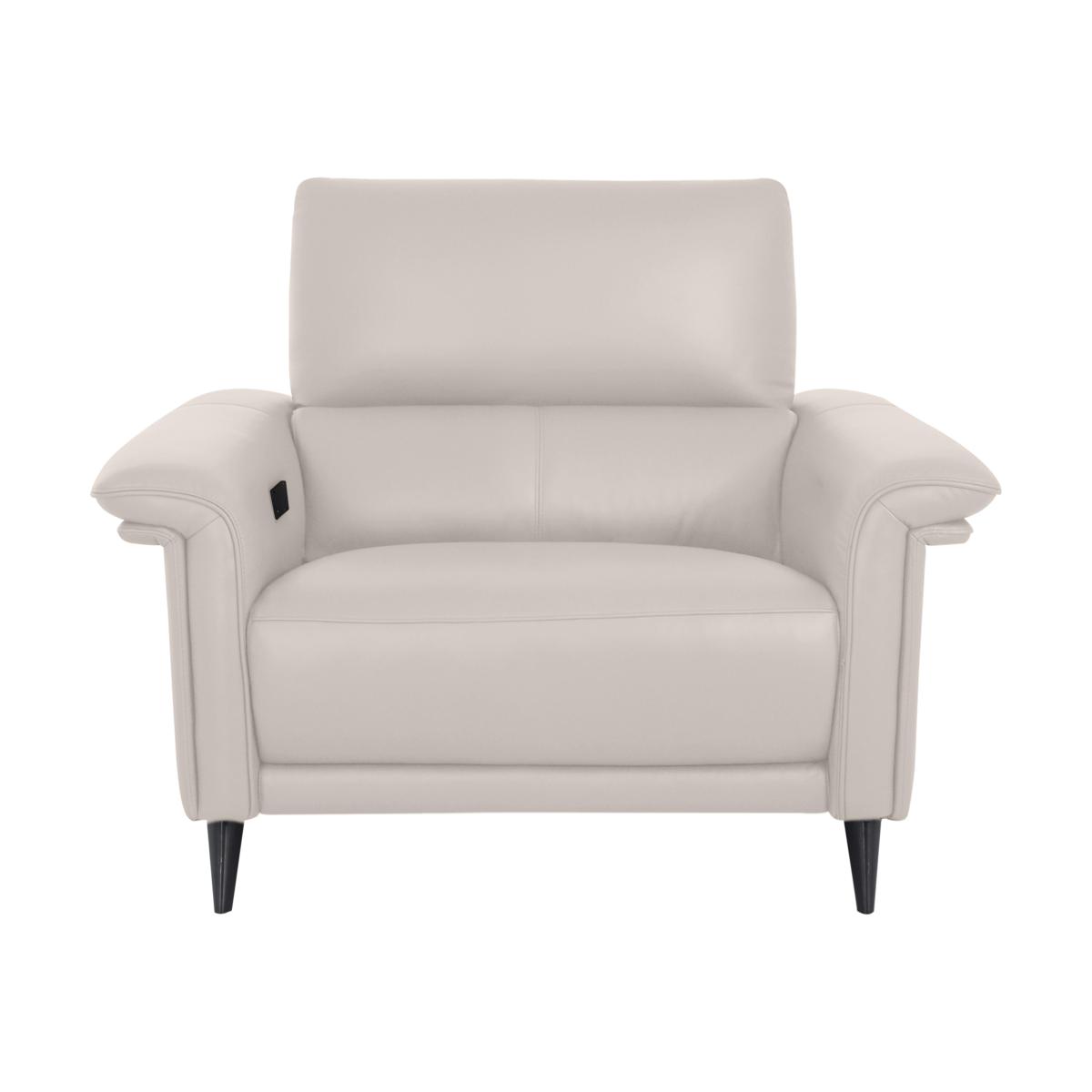 Domicil - Huxley Leather Power Recliner Chair with Telescopic Headrest - NP Frost