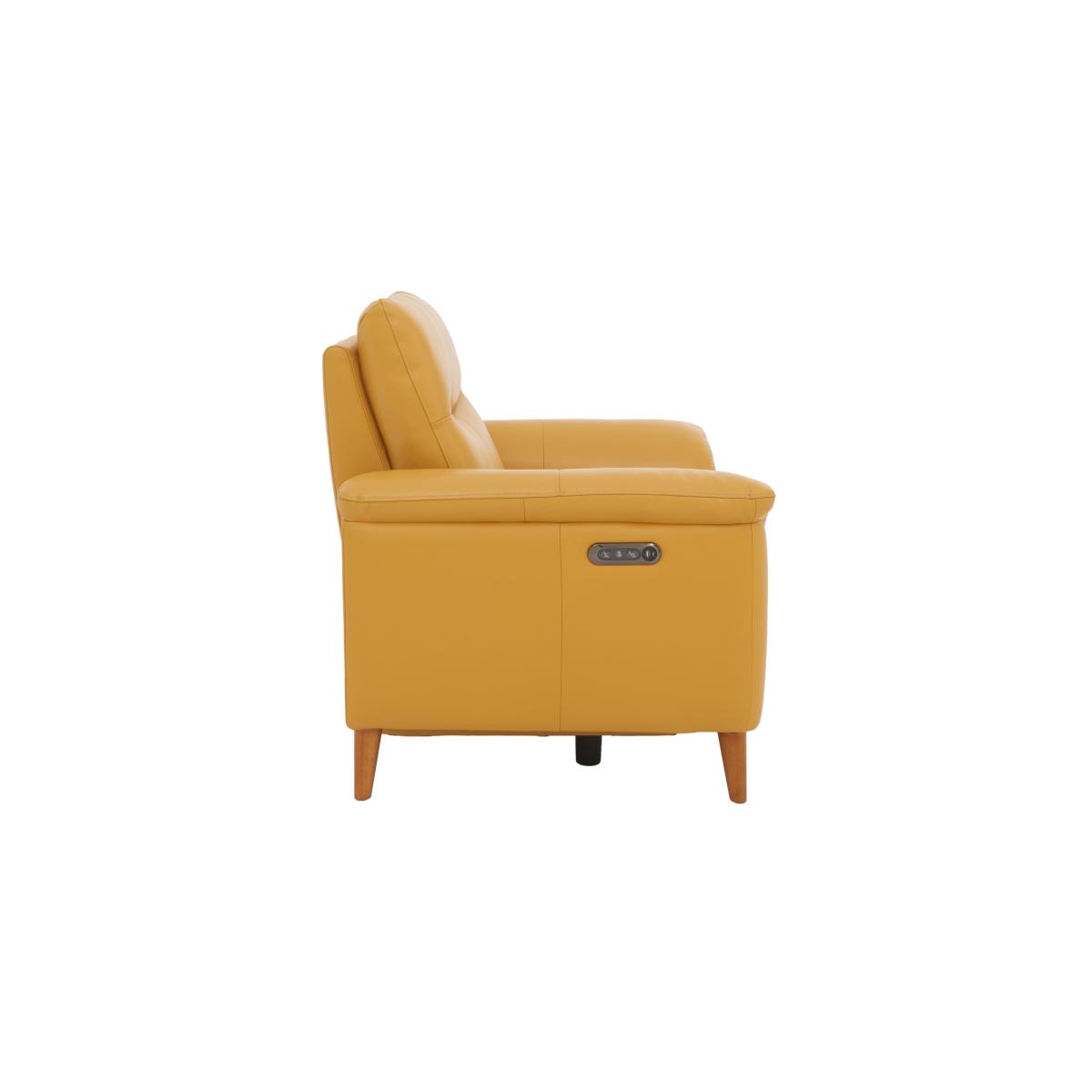 Morgan Leather Armchair - Yellow – image 8