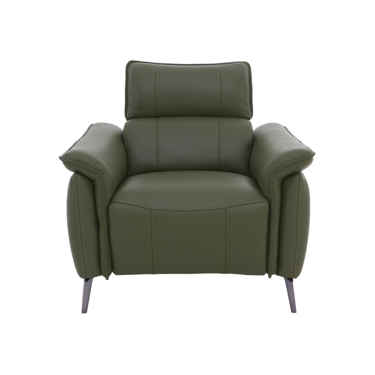 Jude Leather Armchair - Oslo Pine – image 1