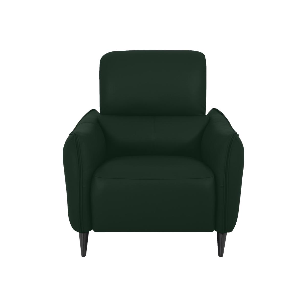 Domicil - Maddox Leather Power Recliner Chair - NP Dark Forest