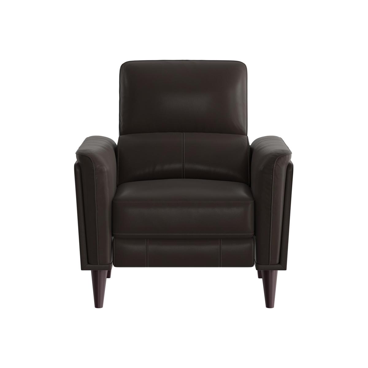 Compact Collection Klein BV Leather Chair - Dark Chocolate