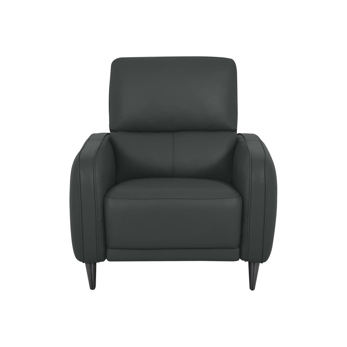 Domicil - Logan Leather Power Recliner Chair - NP Shale Grey