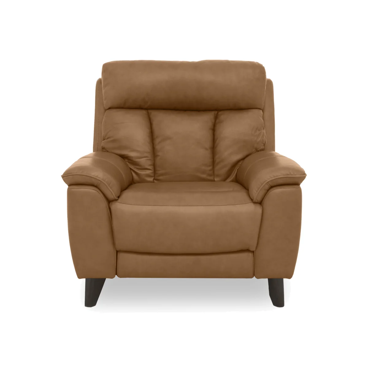 World of Leather - Dreamer Leather Armchair - Cognac – image 1
