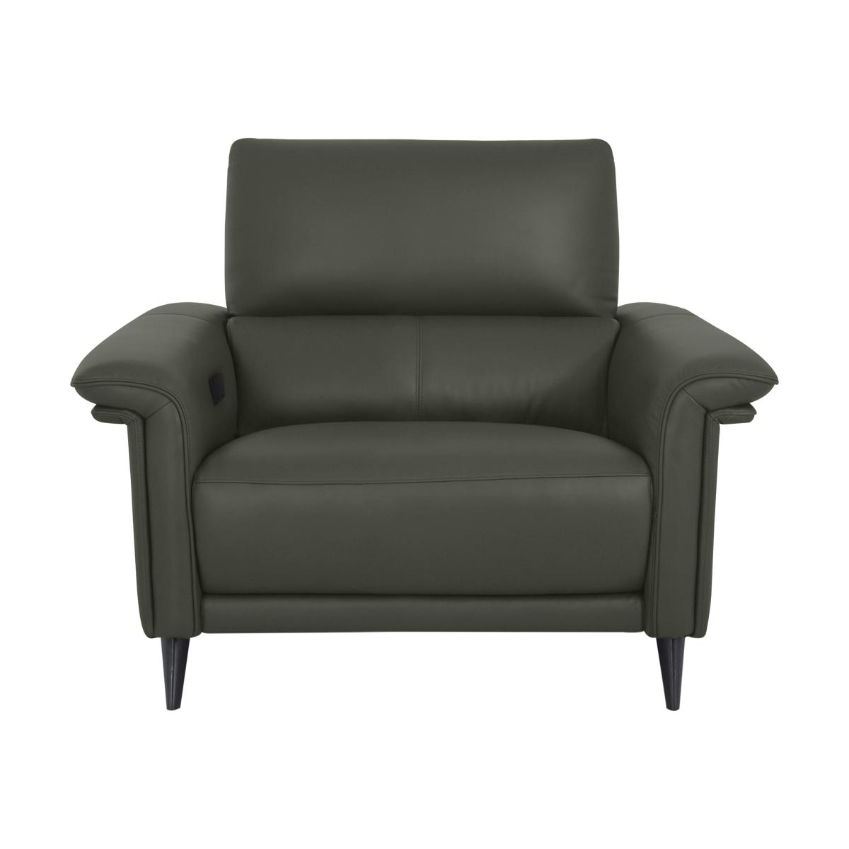 Domicil - Huxley Leather Power Recliner Chair with Telescopic Headrest - NP Dark Olive