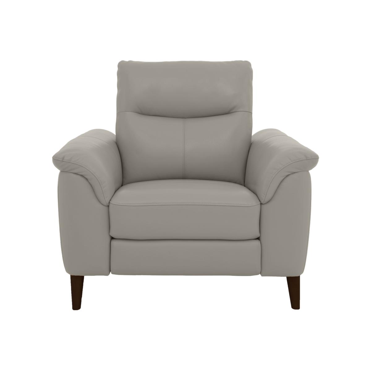 Morgan NC Leather Armchair - New Grey – image 1