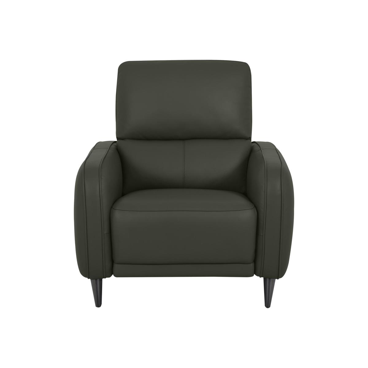 Domicil - Logan NC Leather Chair - NN Olive Green