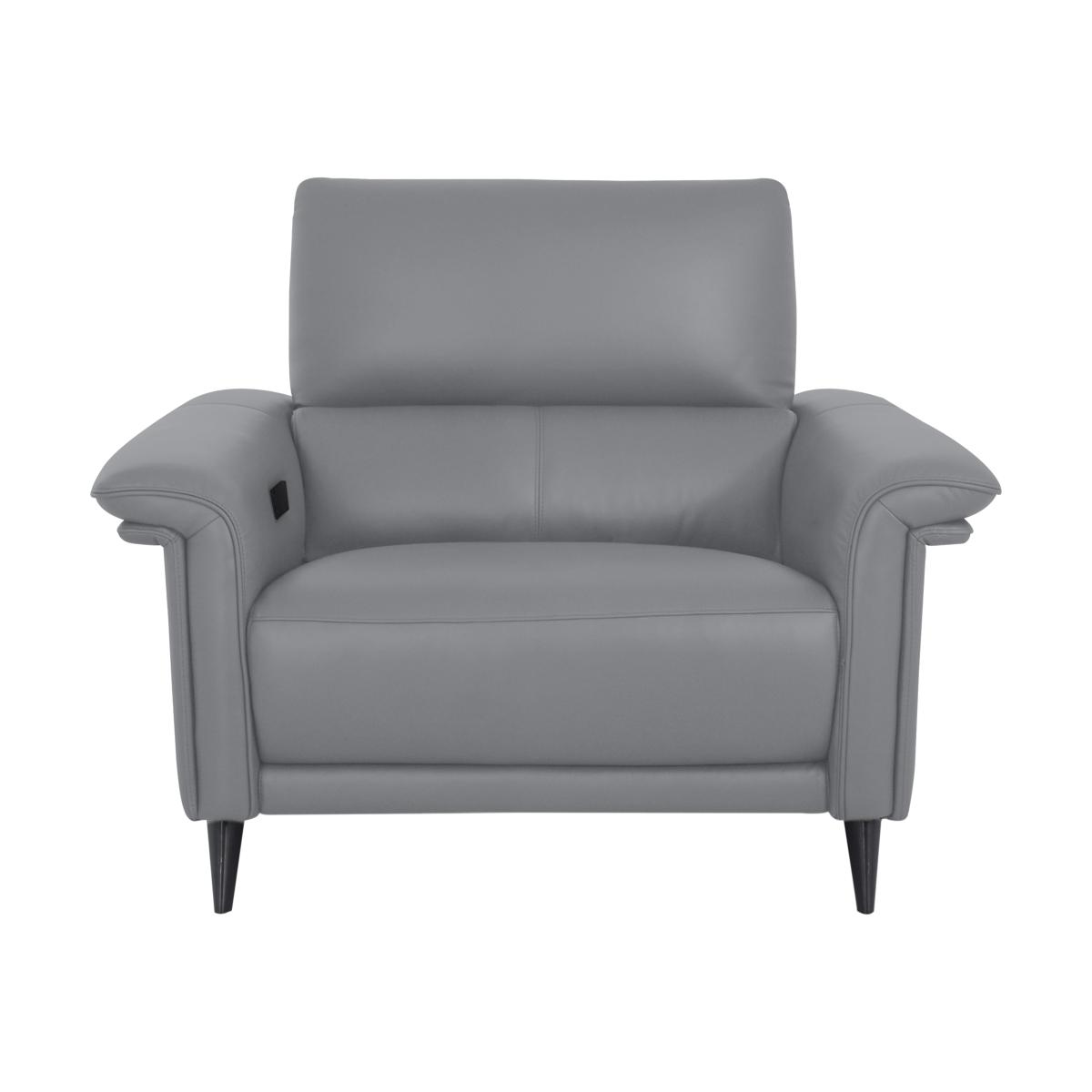 Domicil - Huxley Leather Power Recliner Chair with Telescopic Headrest - NP Paloma Grey