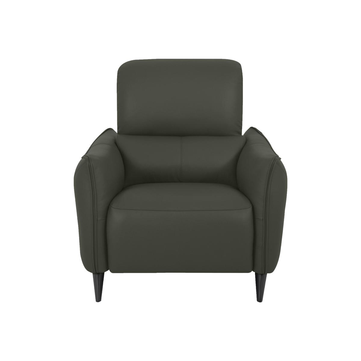 Domicil - Maddox Leather Chair - NP Dark Olive