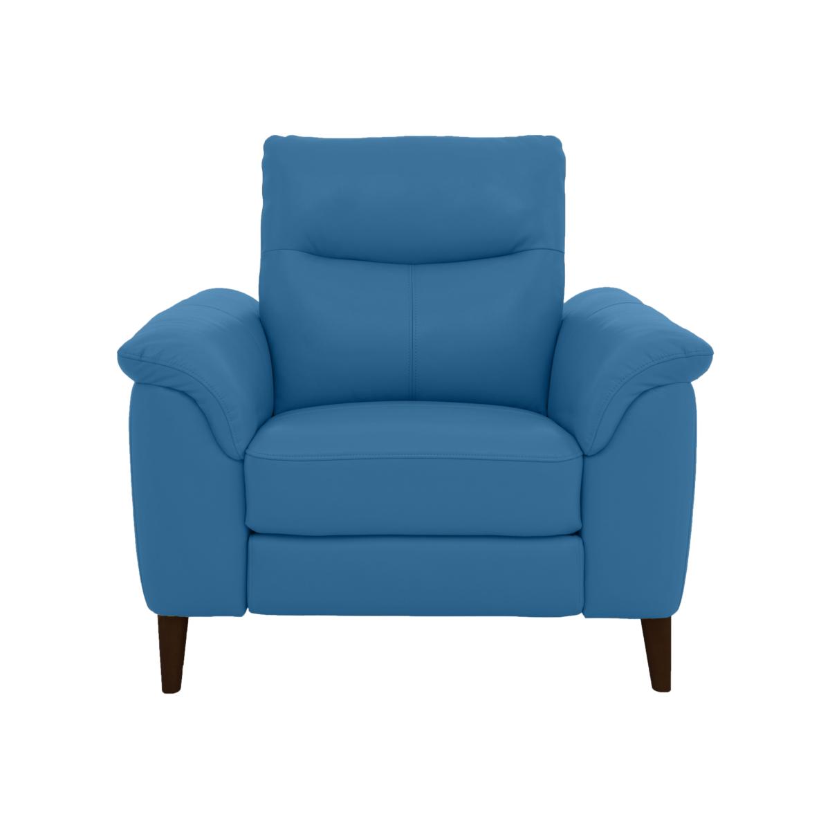Morgan NC Leather Armchair - Aegean – image 1