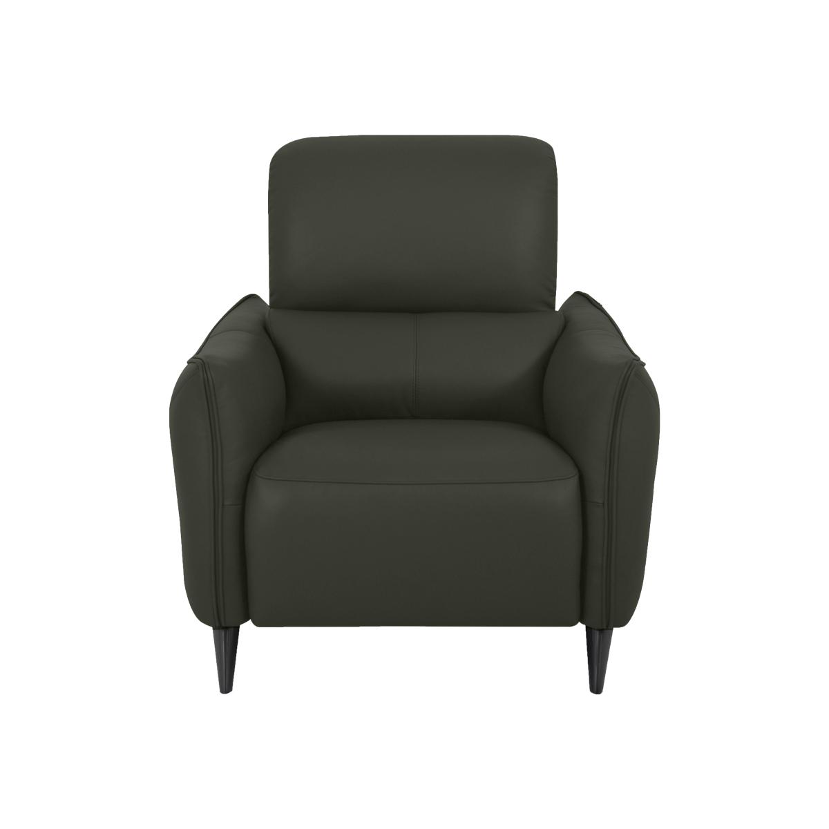 Domicil - Maddox Leather Chair - NN Olive Green