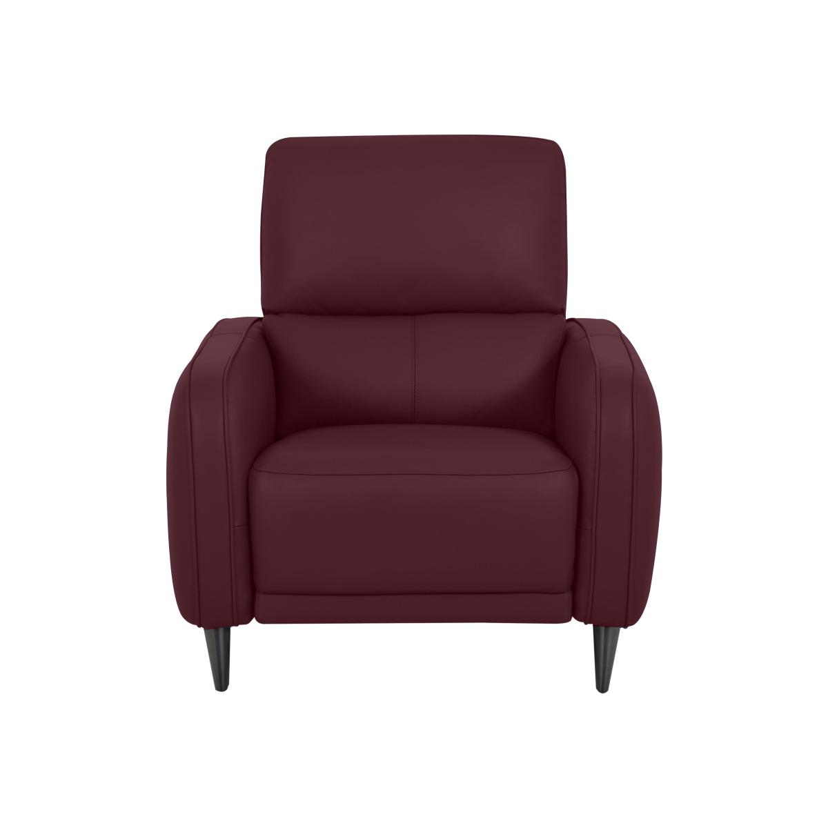 Domicil - Logan Leather Power Recliner Chair - NP Ruby