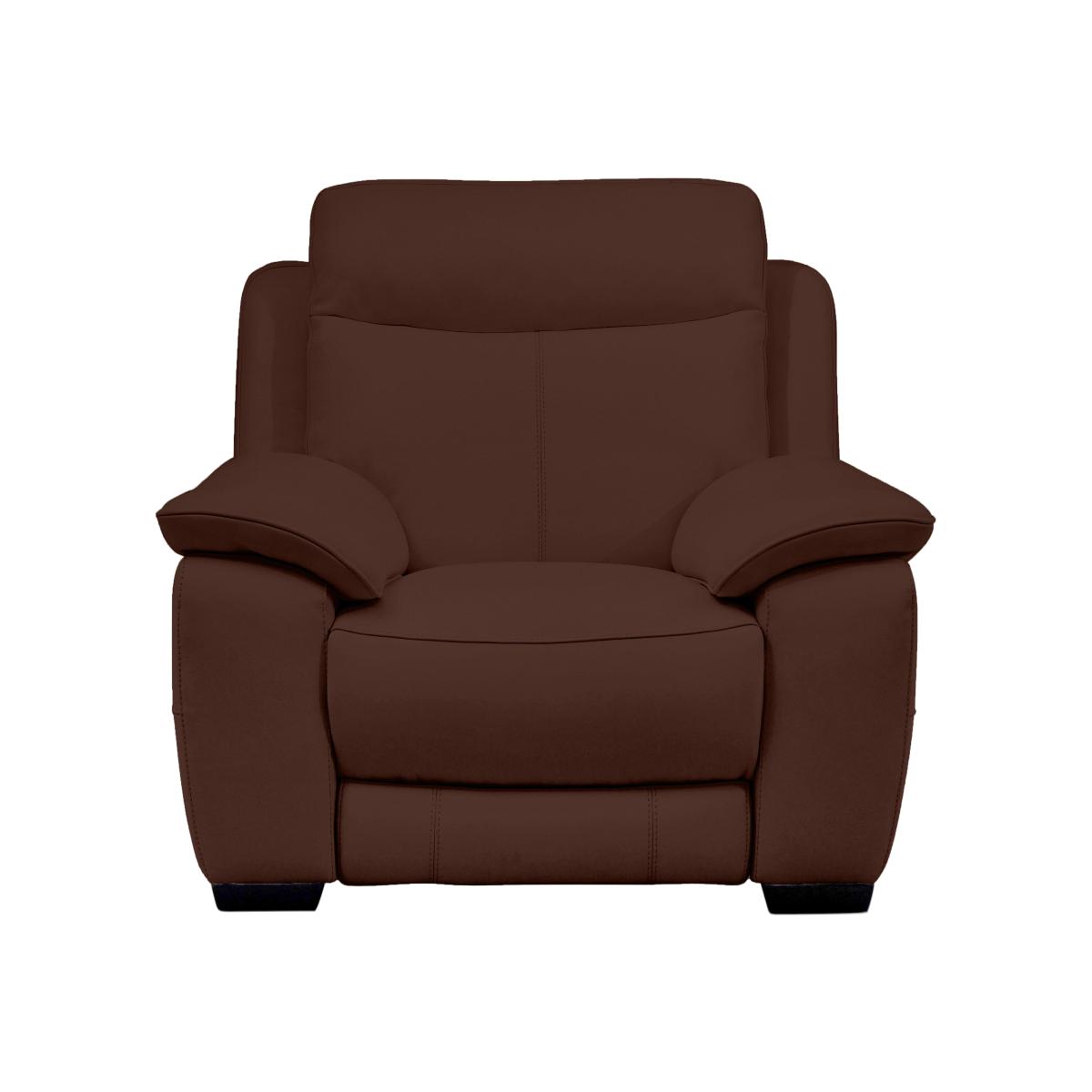 Starlight Express Leather Armchair- World of Leather