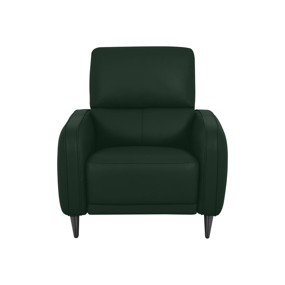 Domicil - Logan NC Leather Chair - NP Dark Forest