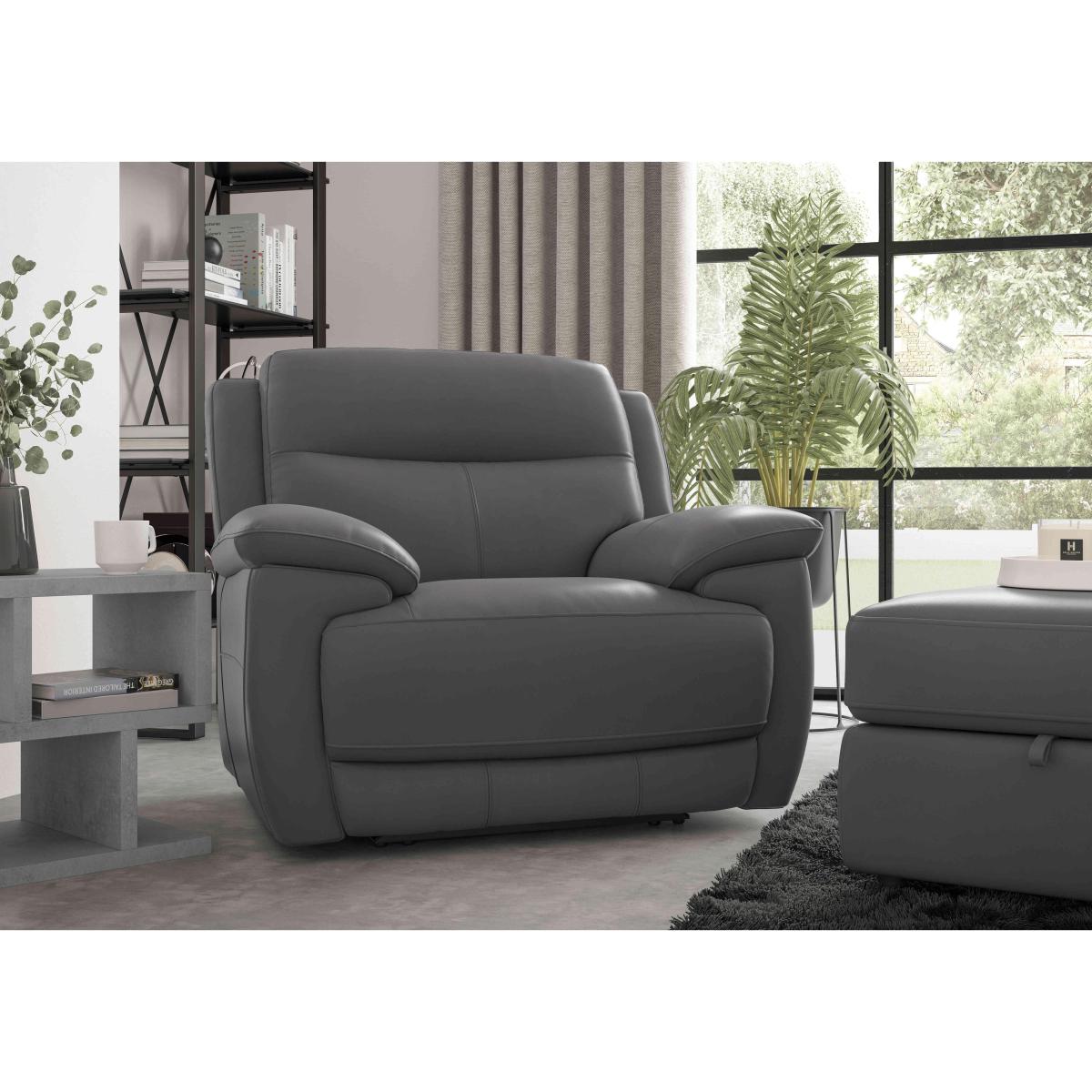 Touch BV Leather Armchair - BV Elephant – image 2