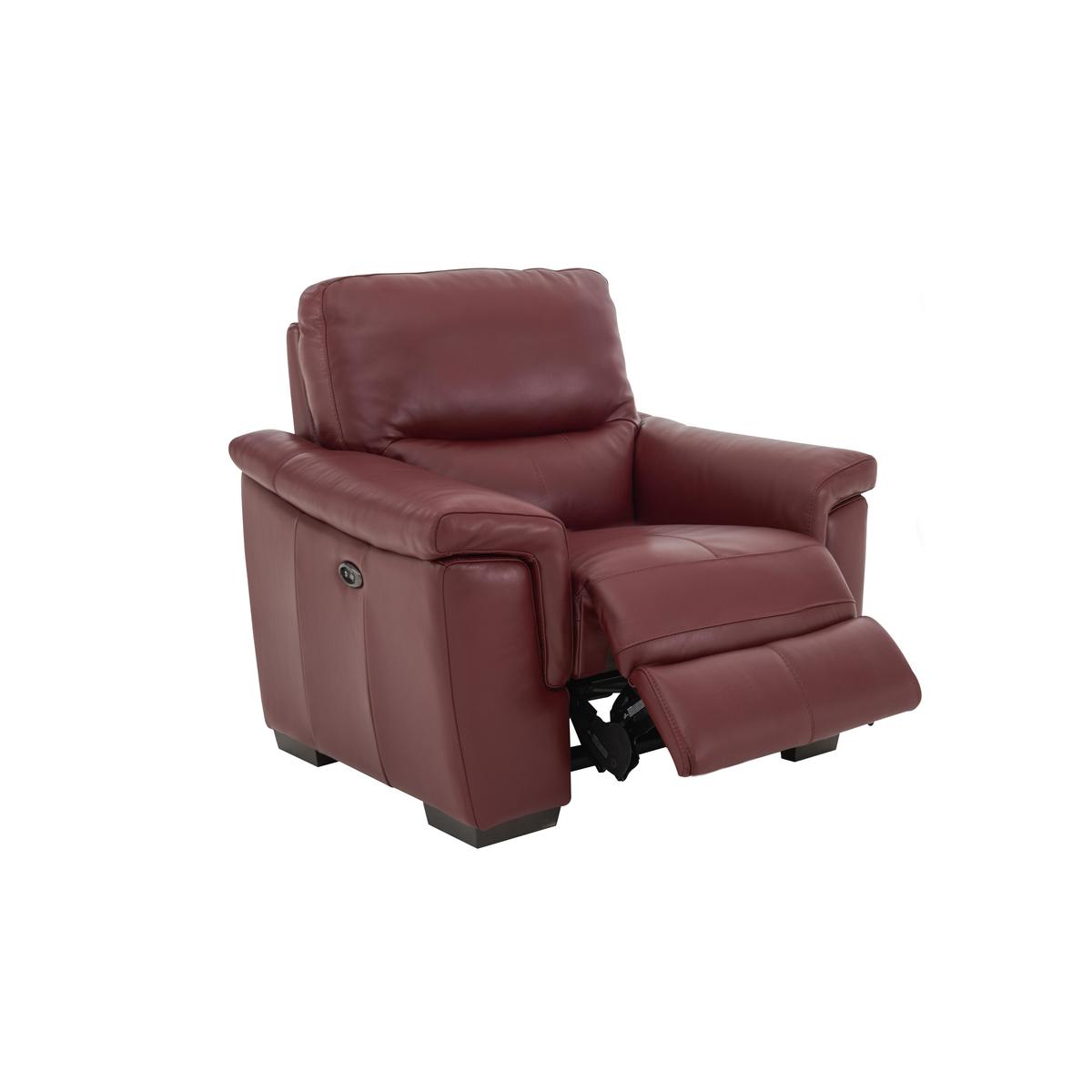 World of Leather - Aneto Leather Armchair – image 4