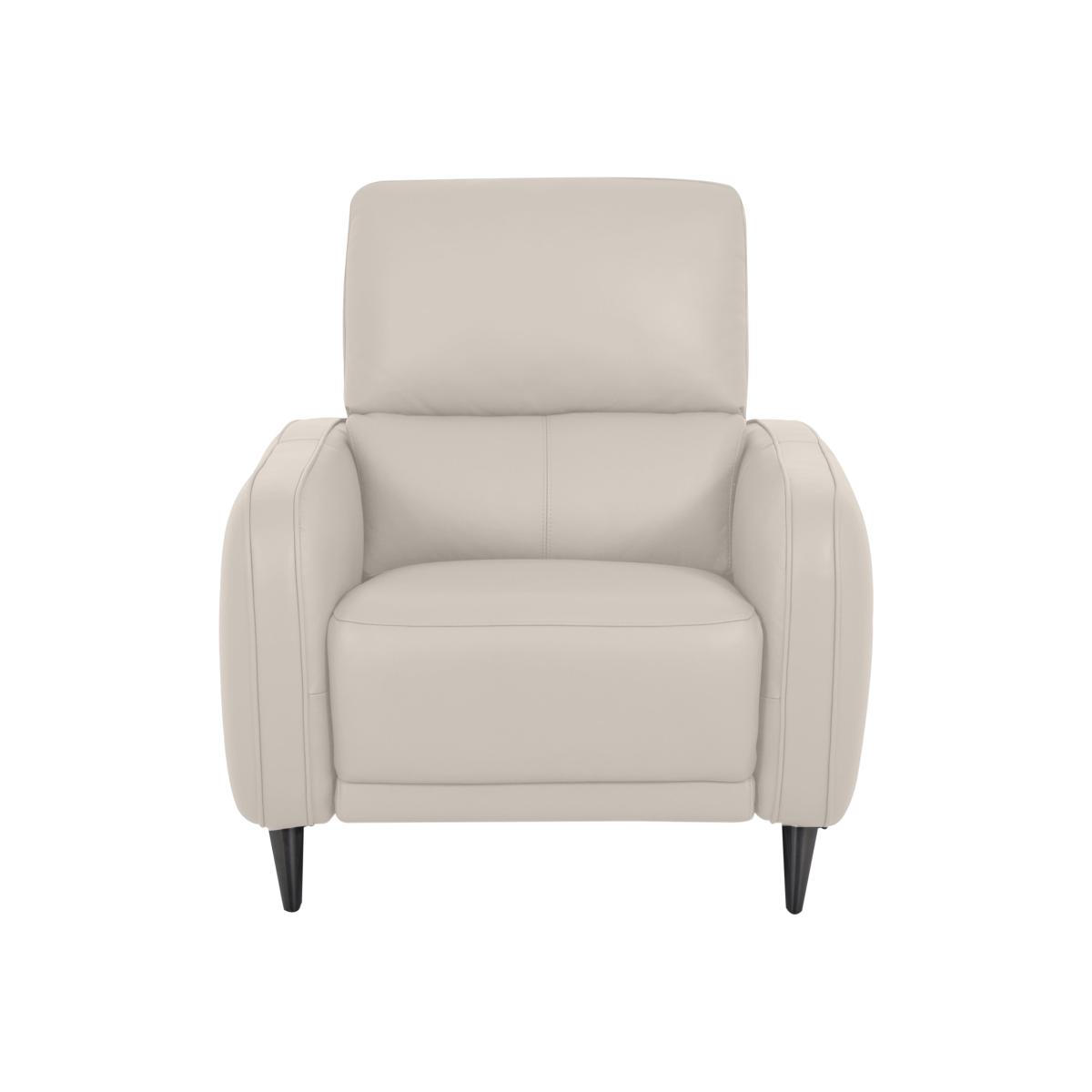 Domicil - Logan NC Leather Chair - NN Frost