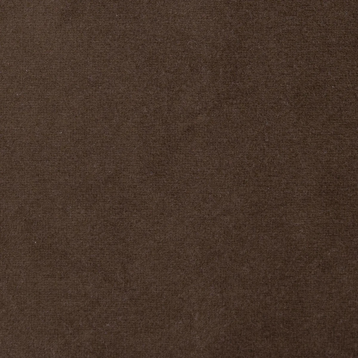 Brown Velvet Highback Accent chair - Paloma – image 3