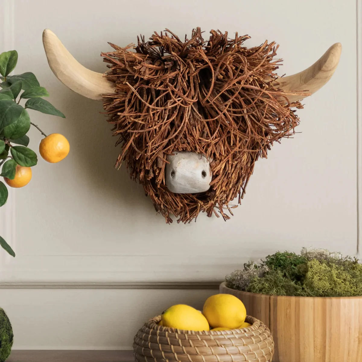 Highland Cow Head – image 1
